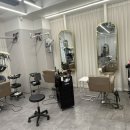 서현애견미용실 이미지