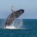 이온호텔 이미지