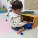 베이비파크 | 가정동 루원시티 키즈카페 봉블리 (매장내부 / 이용금액)