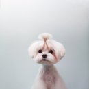 59피자 이미지