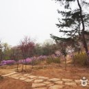 밀팟 이미지