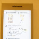 컨트리맨즈장유 이미지