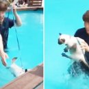 Lee&Cat
