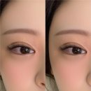 아틱폭스