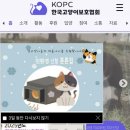 동물보호협회 동행 이미지