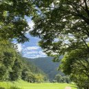 WG 스포츠파크 고성9홀 이미지