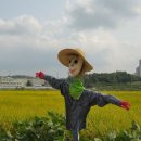 허수아비 이미지