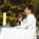 베짱이정원 네이버블로그