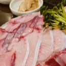 남정수산 | 일산 라페스타 횟집 노량수산시장 대방어 시기! 제철 대방어 맛있게 먹는법 완벽 가이드