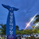 장생포야구장(주말) | [울산 남구] 장생포고래문화특구 야간연장운영 불꽃쇼 관람 후기 (24.05.11)