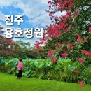 조비마을회관 이미지