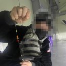 뚜루실내낚시 이미지