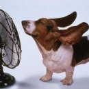 뽀송뽀송 이미지