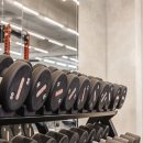 플라이 짐 이미지