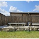 똥강아지 애견 이미지