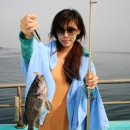 피쉬팩토리 이미지