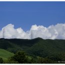 용현농협주유소 이미지