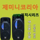 [제미니코리아]신품,300w,500w,이동식,충전식,휴대용,앰프,색소폰,공연,버스킹,잔치,교회,행사, 이미지