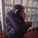 두호동 책이랑바다랑 | 포항갈만한곳 영일대해수욕장 전망대 산책 &amp; 바다뷰 오션뷰 카페 그리브