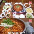 새산호복어 티브이데일리