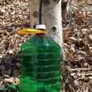 원지농원 이미지