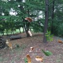 양곡어린이집 이미지