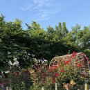 서곶근린공원 주차장 이미지