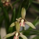 우리들 편의점 이미지