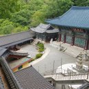 마하사 대웅전 석조석가여래삼존상 이미지