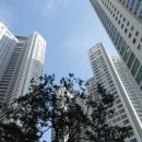 월드경로당 이미지