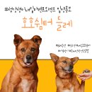 호호제주 이미지
