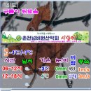2023. 2. 18(토) 홍천~평창 계방산 "운두령" 주변의 날씨예보 이미지