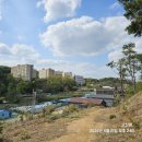 연안부부인전씨묘 이미지