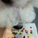 두유 개린이집 이미지