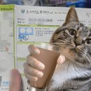정닥터 | 인데놀정10mg 처방,면접 내돈내산 나만의닥터 후기 (부작용, 효과)