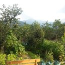 산모음 민박 이미지