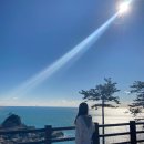 덕포냉삼 이미지