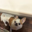 하늘N펜션 이미지