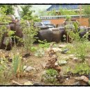 약선당식당 이미지