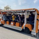 봉화군노인복지관 이미지