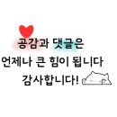 디지탈매직스튜디오