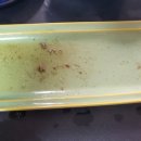 집밥권선생 이미지