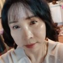오미정 뉴스인