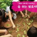 서당목장 네이버블로그