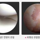 만성가든 네이버블로그