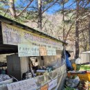 은행나무 주유소 이미지