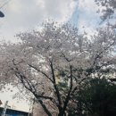 [기흥 네일] 꼼꼼한 신갈 멜로우네일