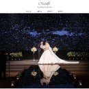 5658 | 스냅]현직 PD추천 짝꿍 할인 페이백 가성비 본식 스냅 어두운 홀 화이트 톤 계약 후기 - 오라일리 웨딩