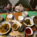 선상서로 | 경북 상주 애견동반 식당 구르믈버서난달처럼 백숙 후기:)