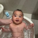 파인즈학원 | 26년, 4월의 기록